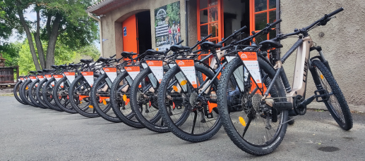 CarouxElectroVelo 2