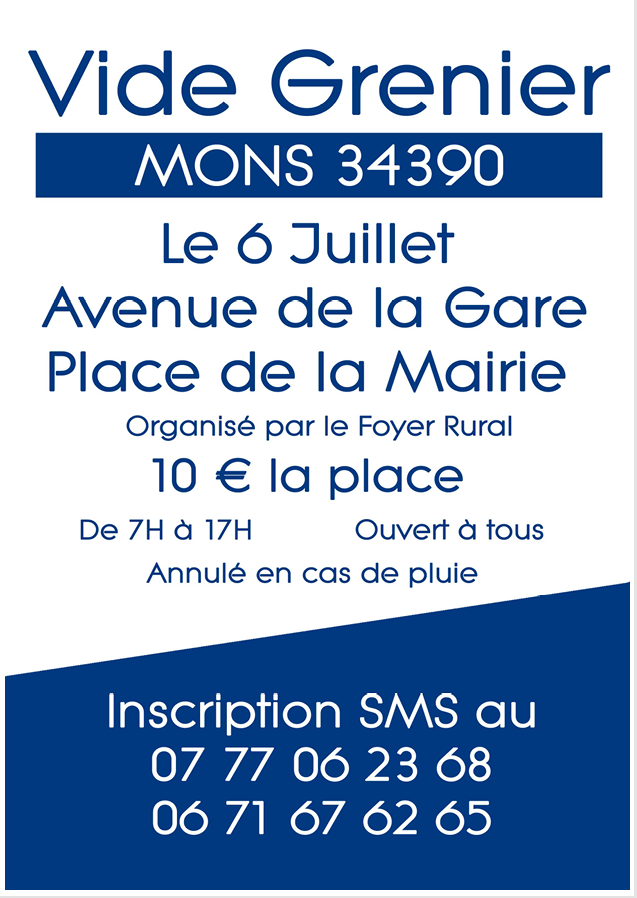 VideGrenier 06 07 2025